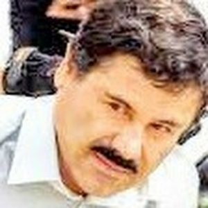 Meet your Posher, Boy